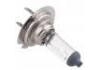 Halogen bulb:H7