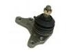 Ball Joint:43350-39125