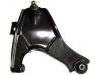 Control Arm:48069-87403