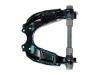 Control Arm:48067-35060
